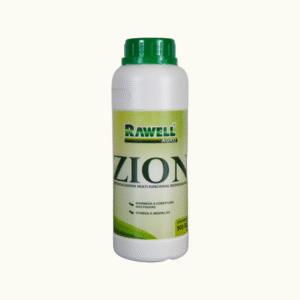 ZION