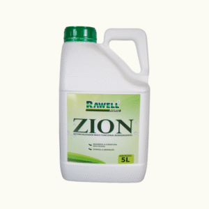 ZION