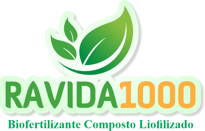 Vida1000